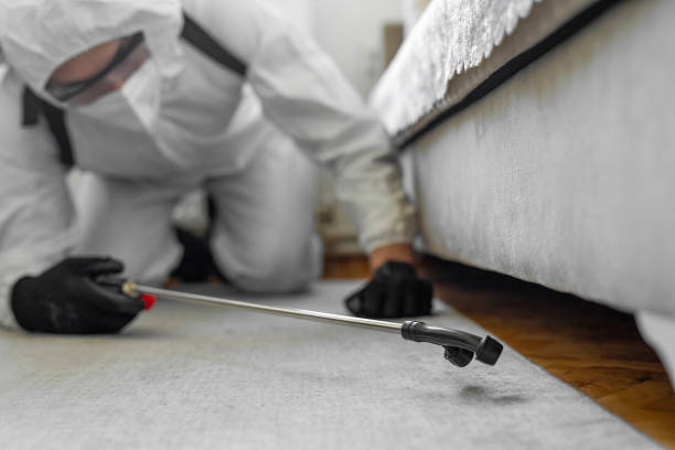 Professional Pest Control technician working in Rockmart, GA