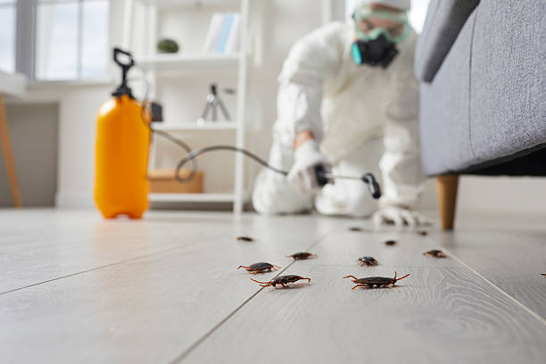 Trusted Rodent Control service in Rockmart, GA - Nex Pest Control