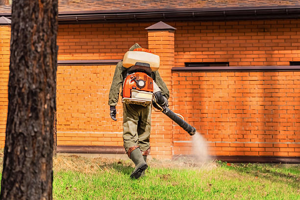 Trusted Cockroach Control service in Rockmart, GA - Nex Pest Control